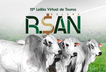 15º LEILÃO VIRTUAL DE TOUROS NELORE RSAN